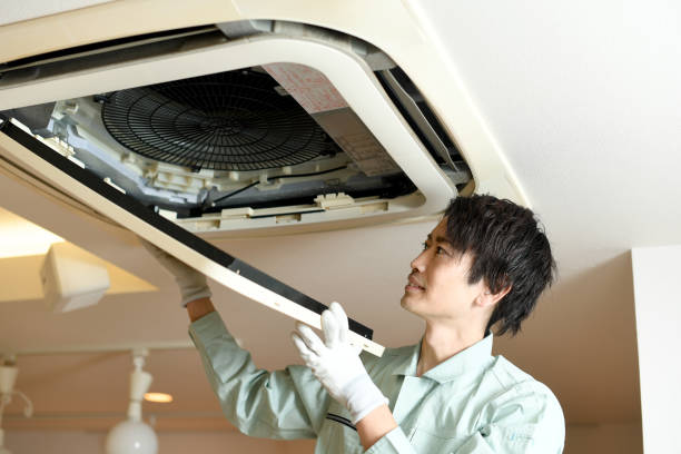 Best HVAC System Cleaning  in Corunna, MI